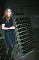 Dec. 30, 1995 - Napa Valley, California.<br />Guide in front of a riddling rack at the Chandon Winery.