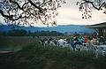 Dec. 30, 1995 - Napa Valley, California.<br />People enjoying a glass of champagne at Mumm/Napa winery and view of the valley.