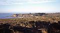 Jan. 2, 1996 - Ao Nuevo State Reserve, California.