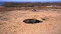 Jan. 2, 1996 - Ao Nuevo State Reserve, California.<br />Elephant seal.