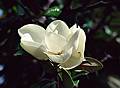 July 6, 1995 - El Escorial, Spain.<br />In the monastery's garden.