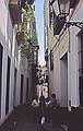 July 9, 1995 - Sevilla, Spain.<br />Salvador, Joyce, and Asuncin talking to a local woman.