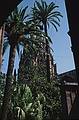 July 15, 1995 - Barri Gotic (Gothic neighborhood), Barcelona, Spain.<br />Cathedral courtyard.