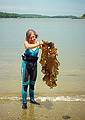 July 6, 1996 - Kayaking in Maine and camping on Beal Island, Georgetown.<br />Joyce  on small beach on NE tip of MacMahan Island in Sheepscot Bay.