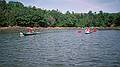 July 29, 1996 - Kayaking off Bethel Point, Brunswick, Maine.<br />Joyce and Baiba off Cundy's Harbor shore opposite Leavitt Island.