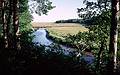 August 9, 1996 - Rachel Carson National Wildlife Refuge, Wells, Maine.