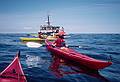 Aug 30, 1996 - Out of Newburyport, Massachusetts.<br />Adventure Learning Whale Watch Kayaking trip.<br />Joyce.