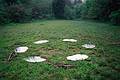 May 25, 1997 - Old Town Hill, Newbury, Massachusetts.<br />Joyce's installation (mirrors and branches) at the Parker River Festival.
