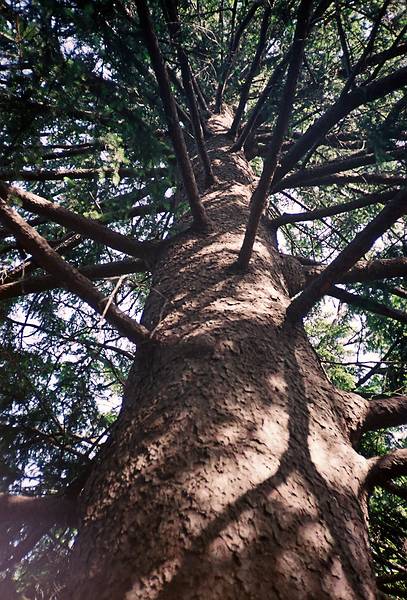 June 8, 1997 - Maudslay State Park, Newburyport, Massachusetts.