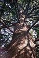 June 8, 1997 - Maudslay State Park, Newburyport, Massachusetts.