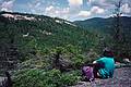June 28, 1997 - Hika along the Dickey-Welch Trail, White Mountains, New Hampshire.<br />Joyce atop Welch looking at Dickey.