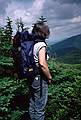 July 26, 1997 - On west side of Franconia Notch, New Hampshire.<br />Joyce, probably on Kinsman Ridge Trail just south of Cannon Mountain.