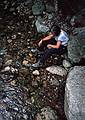 July 26, 1997 - On west side of Franconia Notch, New Hampshire.<br />Joyce cooling off at another unkown brook.