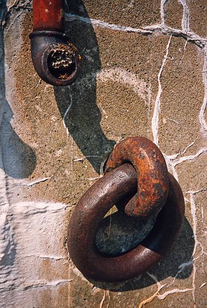 Sept. 26, 1997 - Boston Harbor, Massachusetts.<br />Bill's group outing to George's Island.