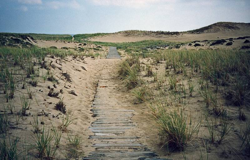 Sept. 28, 1997 - Parker River National Wildlife Refuge, Plum Island, Massachusetts.