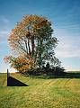 Oct. 12, 1997 - Storm King Arts Center, Mountainville, New York.<br />Richard Serra's 'Schunnemunk Fork'.