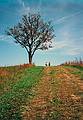Oct. 12, 1997 - Storm King Arts Center, Mountainville, New York.