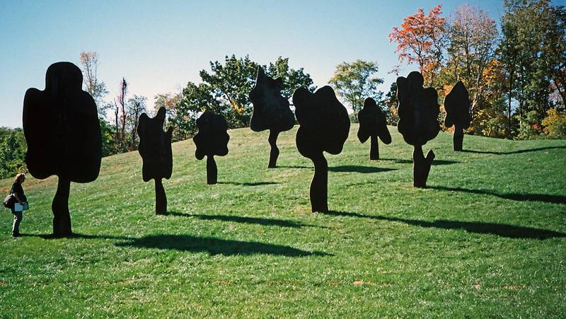 Oct. 12, 1997 - Storm King Arts Center, Mountainville, New York.<br />Joyce at Menashe Kadishman's 'Eight Positive Trees'.