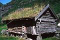 August 5, 1997 - Finse to Flm via Myrdal, Norway.<br />We ate our lunch beside this building.
