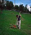August 8, 1997 - On Torger's farm, Geilo, Norway.<br />Joyce raking the hay.