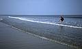 Joyce.<br />May 22, 1998 - Cumberland Island National Seashore, St. Marys, Georgia.