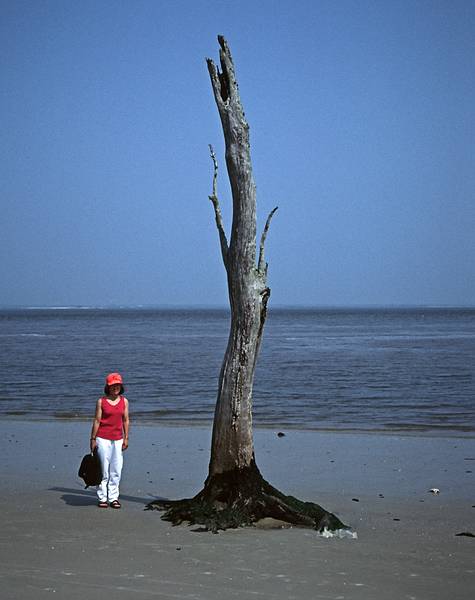 Joyce.<br />May 24, 1998 - Jekyll Island, Georgia.