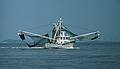 Shrimp boat.<br />May 24, 1998 - Jekyll Island, Georgia.