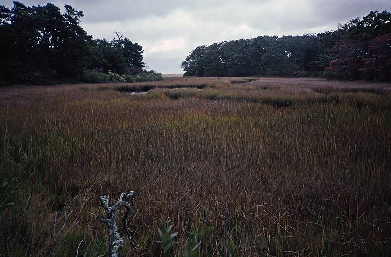 Oct. 11, 1998 - Chapaquidick, Martha's Vineyard, Massachusetts.