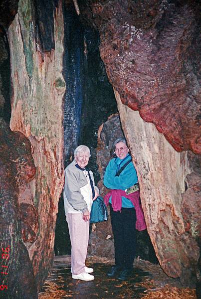 Marie and Joyce inside a burned out redwood.<br />Nov. 6, 1998 - Muir Woods National Monument, Marin County, California.