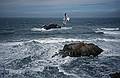 Seal Rocks from Cliff House.<br />Nov. 7, 1998 - San Francisco, California.
