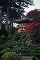 Japanese Tea Garden at Golden Gate Park.<br />Nov. 8, 1998 - San Francisco, California.