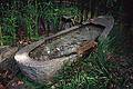 Japanese Tea Garden at Golden Gate Park.<br />Nov. 8, 1998 - San Francisco, California.