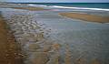 Oct. 10, 1999 - Parker River National Wildlife Refuge, Plum Island, Massachusetts.