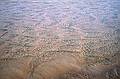 Oct. 10, 1999 - Parker River National Wildlife Refuge, Plum Island, Massachusetts.