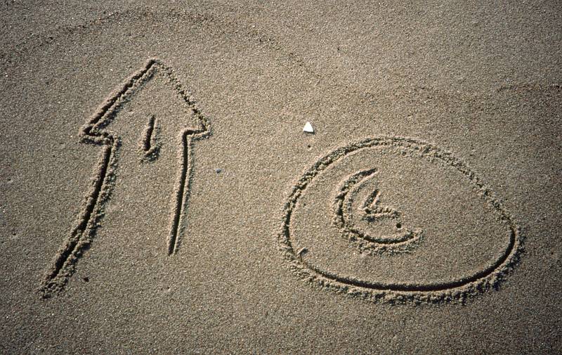 Joyce's drawings.<br />Oct. 10, 1999 - Parker River National Wildlife Refuge, Plum Island, Massachusetts.
