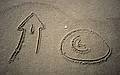 Joyce's drawings.<br />Oct. 10, 1999 - Parker River National Wildlife Refuge, Plum Island, Massachusetts.
