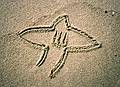 Joyce's drawing.<br />Oct. 10, 1999 - Parker River National Wildlife Refuge, Plum Island, Massachusetts.