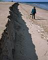 Joyce and beach erosion.<br />Oct. 10, 1999 - Parker River National Wildlife Refuge, Plum Island, Massachusetts.
