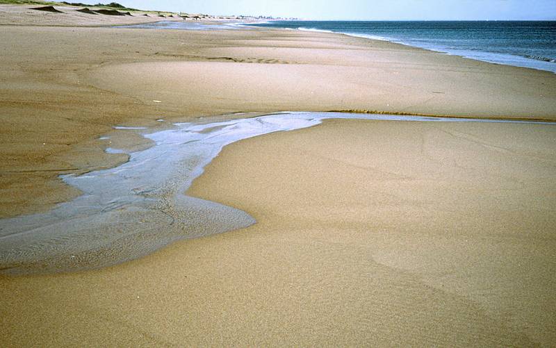 Oct. 10, 1999 - Parker River National Wildlife Refuge, Plum Island, Massachusetts.
