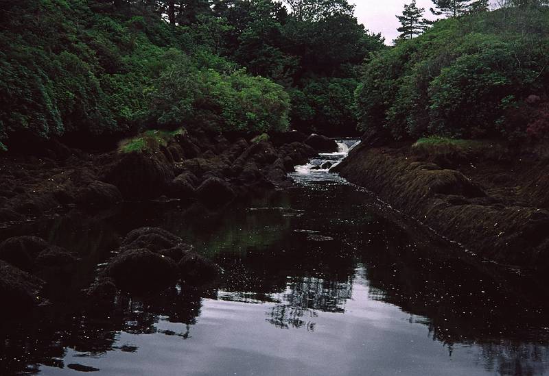 Glengarriff.<br />August 30, 1999 (Day 2) - Out of Bantry, County Cork, Ireland.