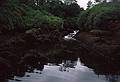 Glengarriff.<br />August 30, 1999 (Day 2) - Out of Bantry, County Cork, Ireland.
