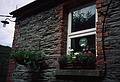 August 31, 1999 (Day 3) - Cape Clear Island, Ireland.