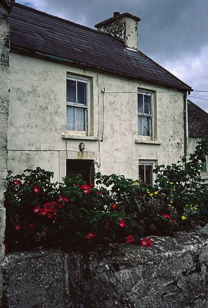 August 31, 1999 (Day 3) - (Ballyieragh?) Cape Clear Island, Ireland.