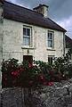 August 31, 1999 (Day 3) - (Ballyieragh?) Cape Clear Island, Ireland.