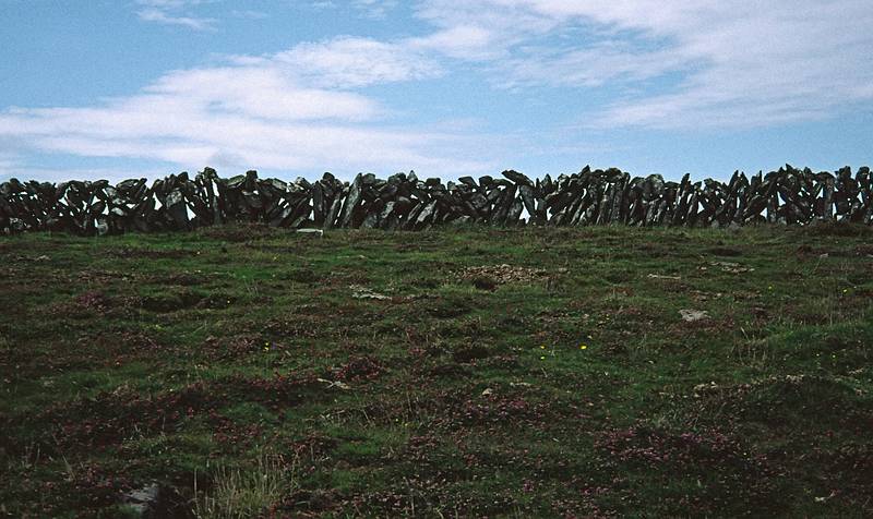 August 31, 1999 (Day 3) - Cape Clear Island, Ireland.