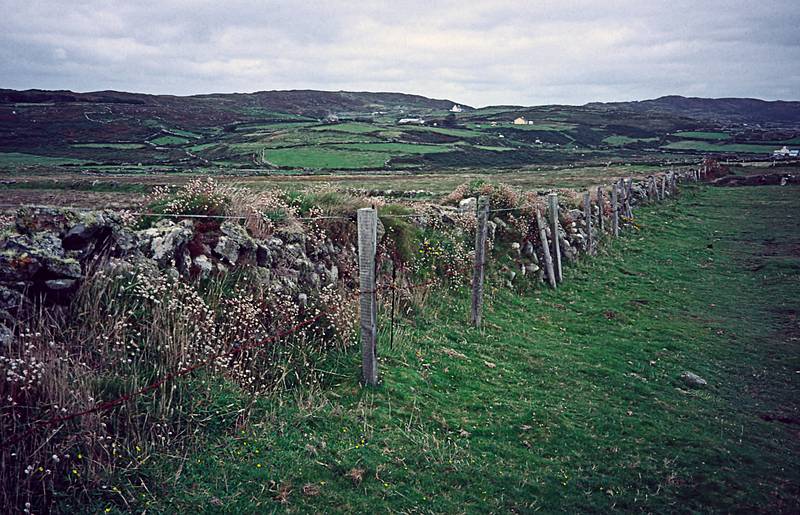 August 31, 1999 (Day 3) - Cape Clear Island, Ireland.