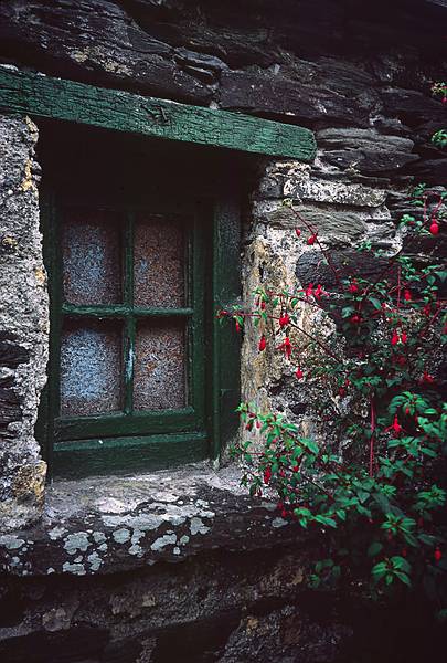 Old window and fuchsia.<br />August 31, 1999 (Day 3) - Cape Clear Island, Ireland.