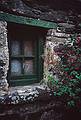 Old window and fuchsia.<br />August 31, 1999 (Day 3) - Cape Clear Island, Ireland.