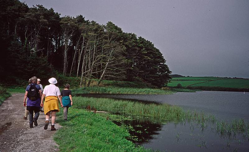 Somewhere between Castletownshend and Kinsale.<br />Sept. 1, 1999 (Day 4) - County Cork, Ireland.