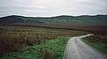Peat bog and ridge ahead.<br />Hike to peat bog and on to ridge.<br />Sept. 4, 1999 (Day 7) - Nire Valley, County Waterford, Ireland.